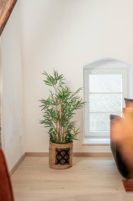 Gemuetliche Oase Im Denkmal Apartment Bonnigheim Ngoại thất bức ảnh